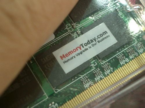 IMGP9815.JPG