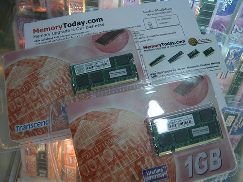 IMGP9819.JPG