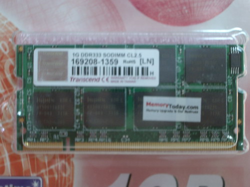 IMGP9820.JPG