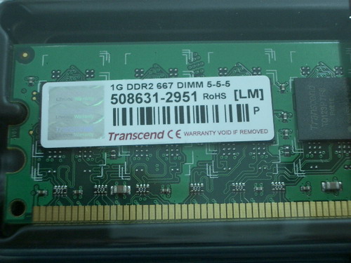 IMGP9823.JPG