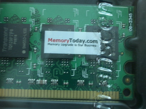 IMGP9824.JPG