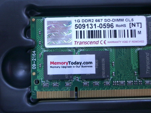 IMGP9826.JPG