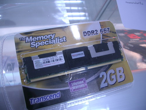 IMGP9829.JPG
