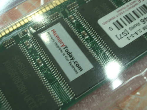 IMGP9835.JPG