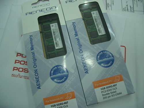 IMGP9842.JPG