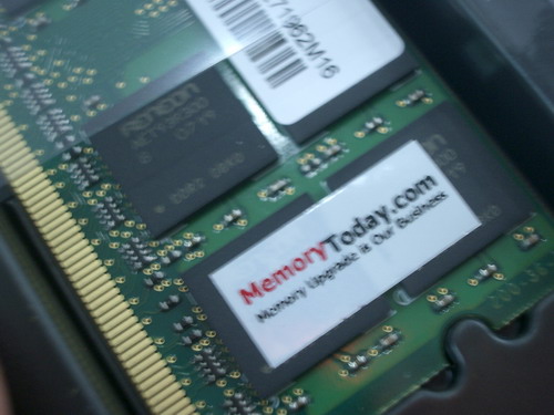IMGP9844.JPG