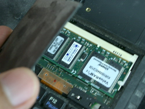 IMGP9846.JPG