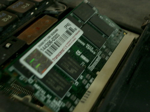 IMGP9852.JPG