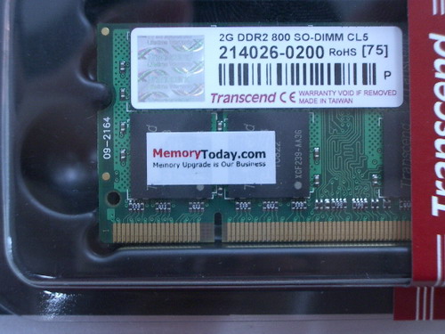 IMGP9854.JPG