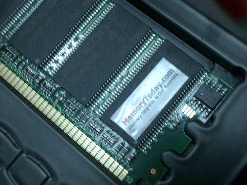 IMGP9856.JPG