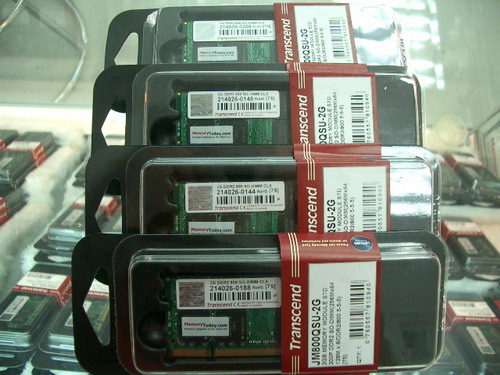 IMGP9856.JPG