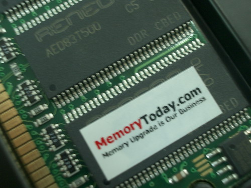 IMGP9860.JPG