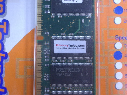 IMGP9860.JPG