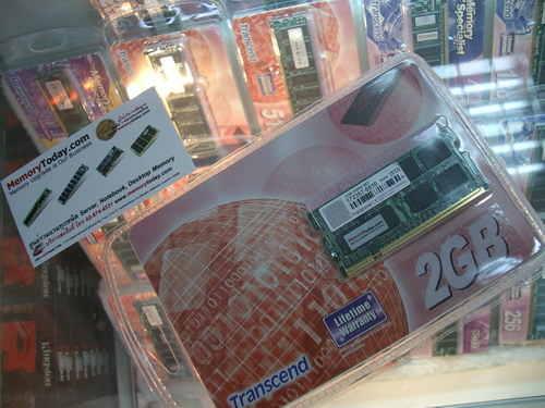IMGP9871.JPG