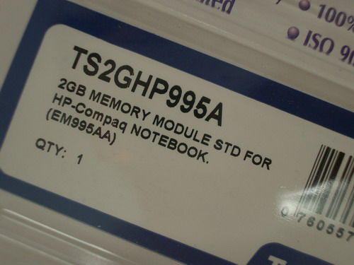 IMGP9872.JPG