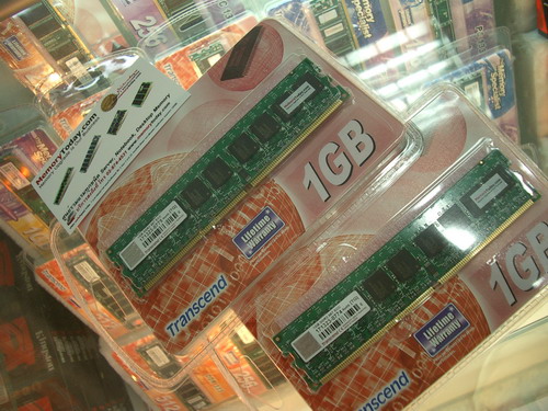 IMGP9874.JPG