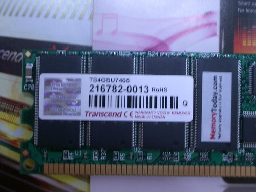 IMGP9879.JPG