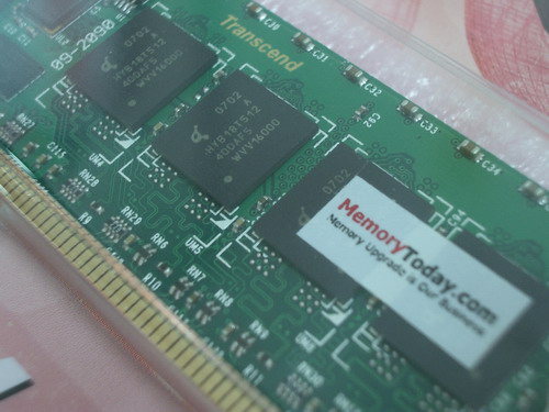 IMGP9879.JPG