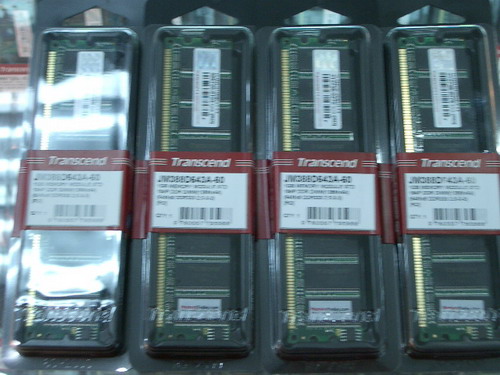 IMGP9905.JPG
