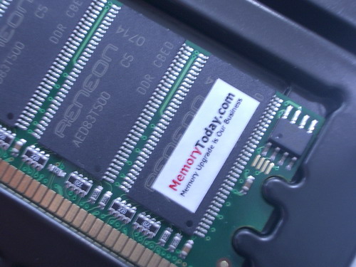 IMGP9905.JPG