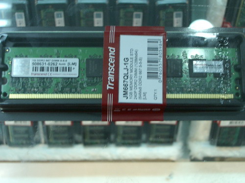 IMGP9909.JPG