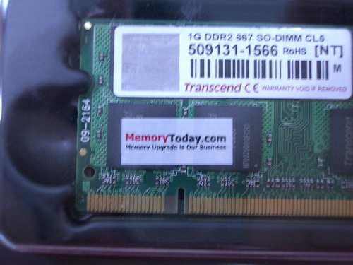 IMGP9914.JPG