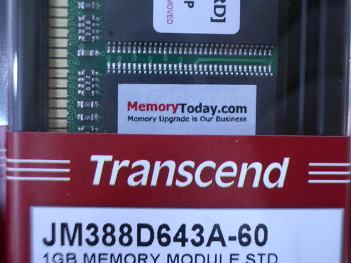 IMGP9915.JPG