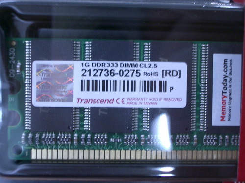 IMGP9916.JPG