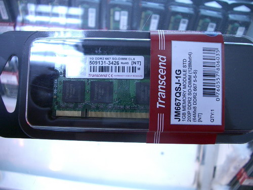 IMGP9919.JPG