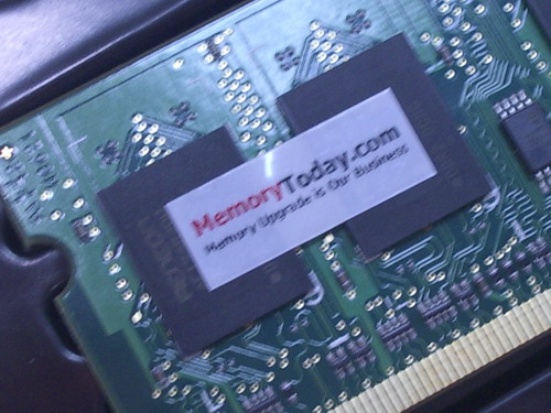 IMGP9919.JPG