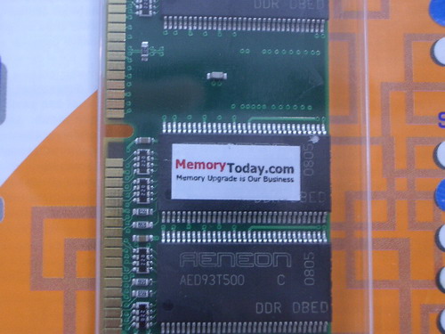 IMGP9920.JPG