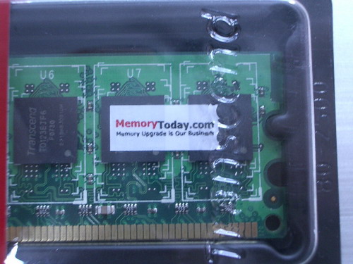 IMGP9925.JPG