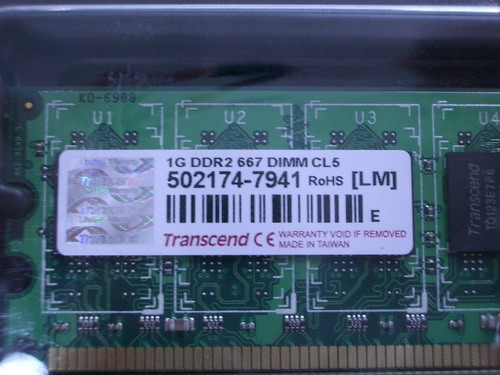 IMGP9928.JPG