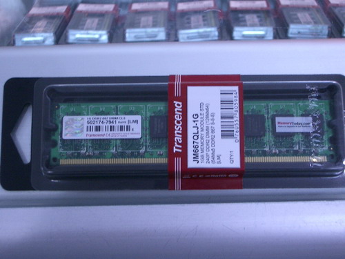 IMGP9929.JPG