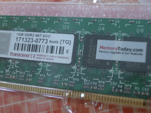 IMGP9930.JPG