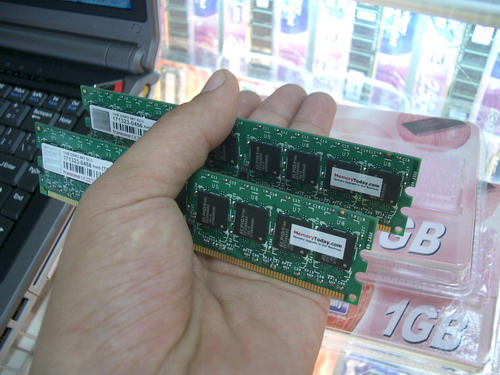 IMGP9932.JPG