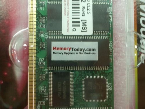 IMGP9933.JPG