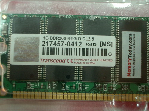IMGP9934.JPG