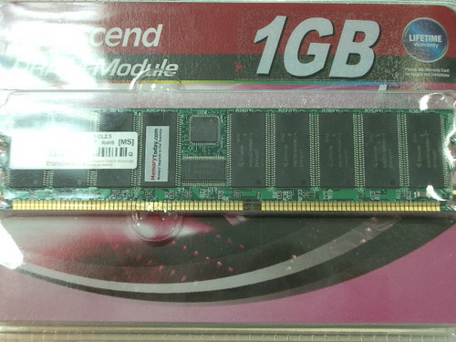IMGP9935.JPG