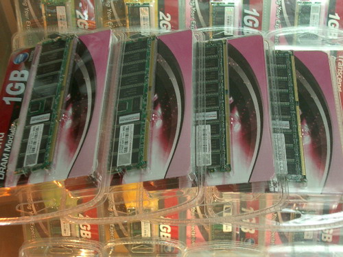 IMGP9936.JPG