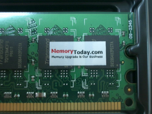 IMGP9944.JPG