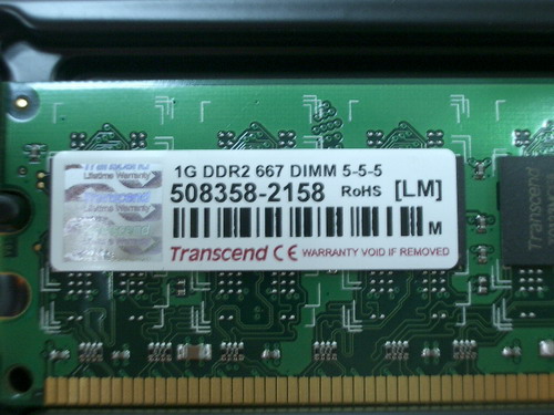 IMGP9945.JPG