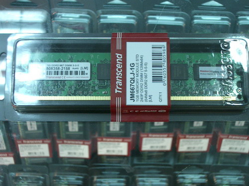 IMGP9946.JPG