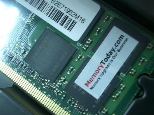 IMGP9947.JPG