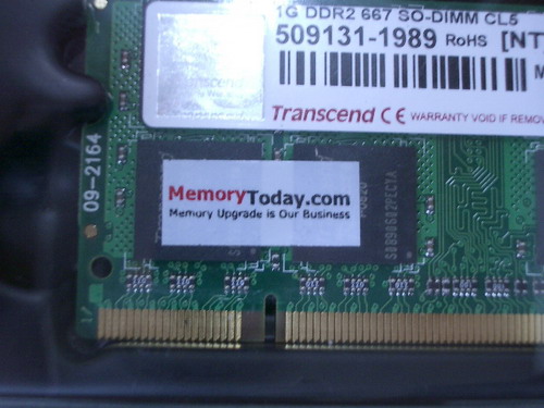 IMGP9950.JPG
