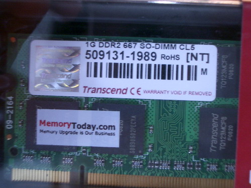 IMGP9952.JPG