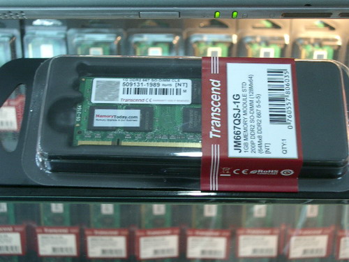IMGP9953.JPG