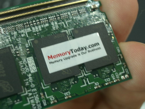 IMGP9954.JPG