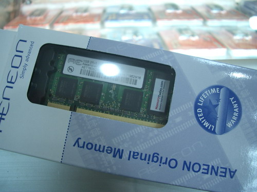 IMGP9955.JPG