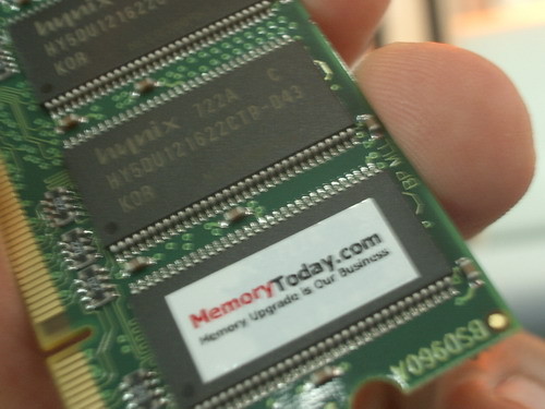 IMGP9971.JPG